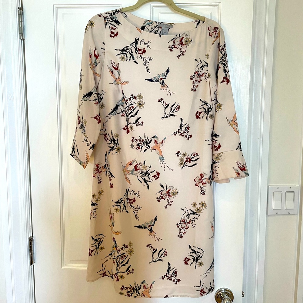 H&M Hummingbird Print Dress. Size 6.